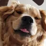 Foto de perfil de Iti Malia
